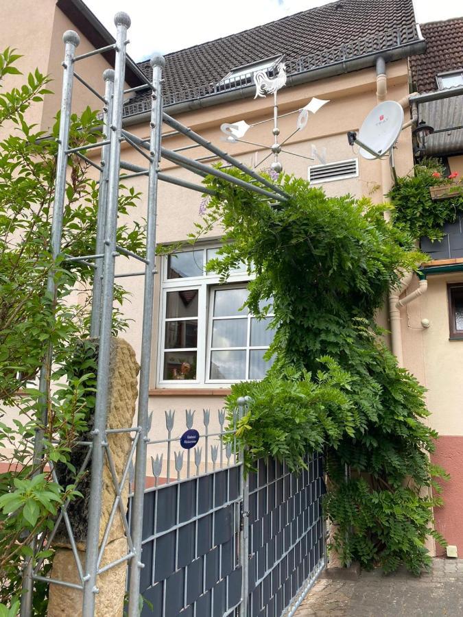 Pension - Gaestehaus Zum Pfaelzerwald Hinterweidenthal المظهر الخارجي الصورة
