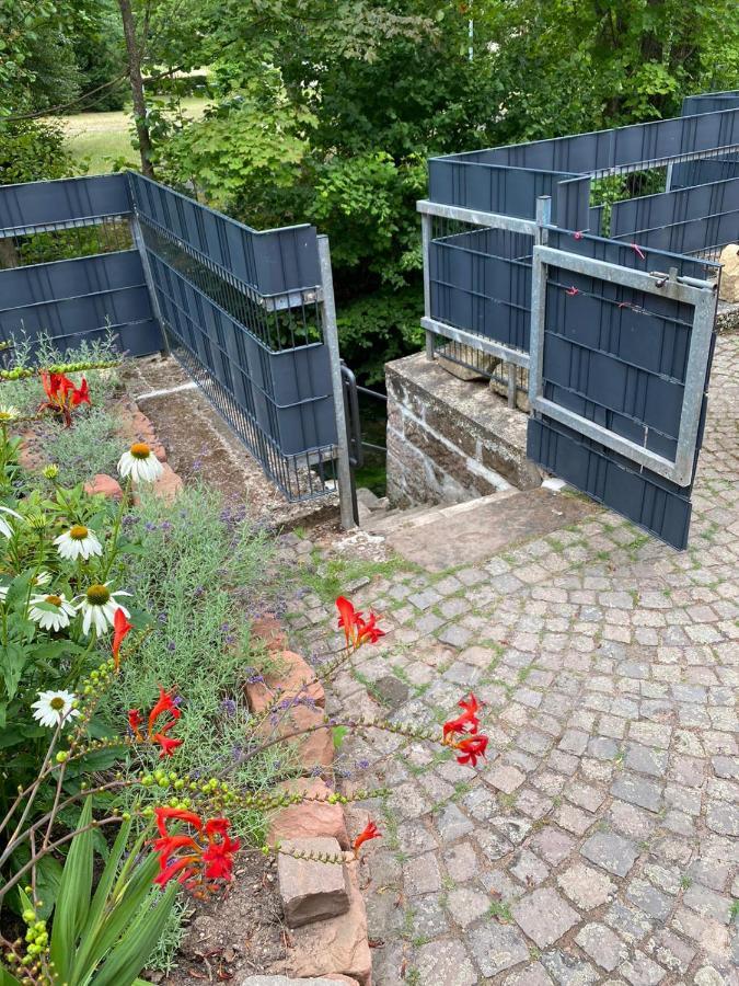 Pension - Gaestehaus Zum Pfaelzerwald Hinterweidenthal المظهر الخارجي الصورة