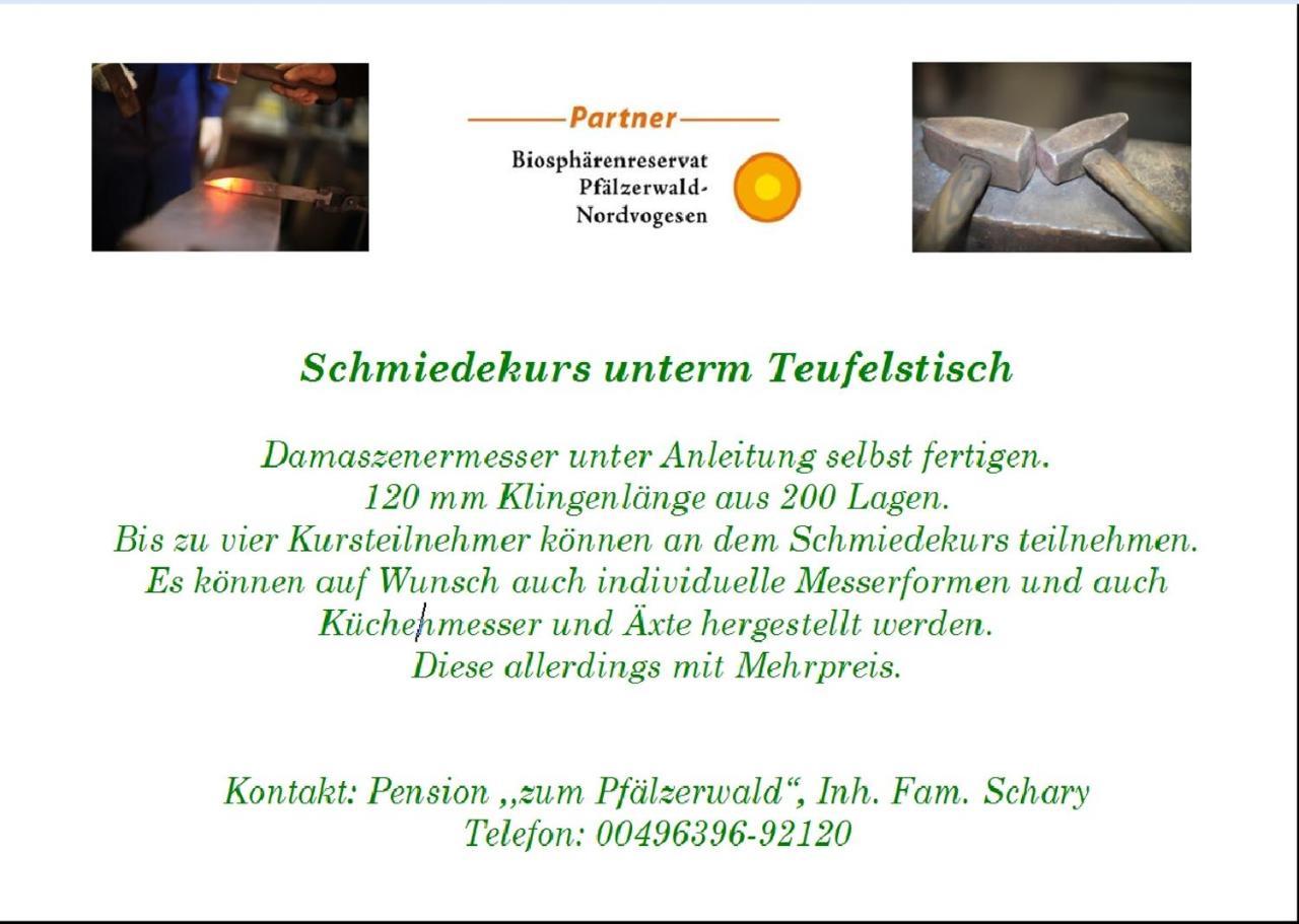 Pension - Gaestehaus Zum Pfaelzerwald Hinterweidenthal المظهر الخارجي الصورة