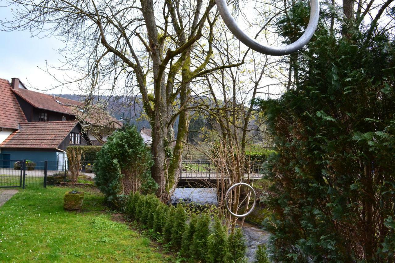 Pension - Gaestehaus Zum Pfaelzerwald Hinterweidenthal المظهر الخارجي الصورة