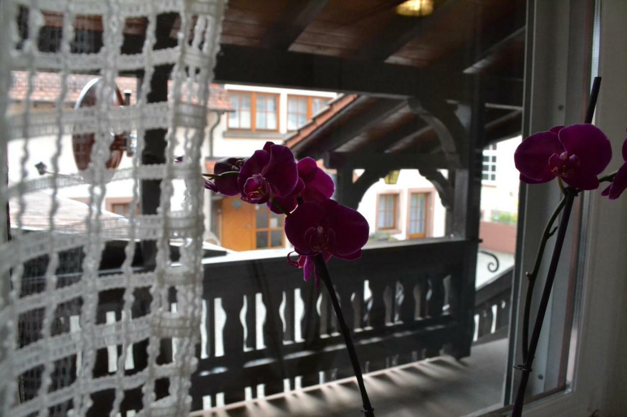 Pension - Gaestehaus Zum Pfaelzerwald Hinterweidenthal المظهر الخارجي الصورة